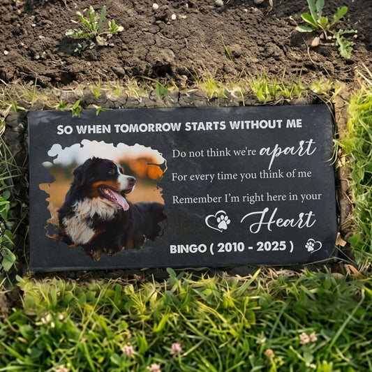 Heart and square polished granite pet memorial burial stones