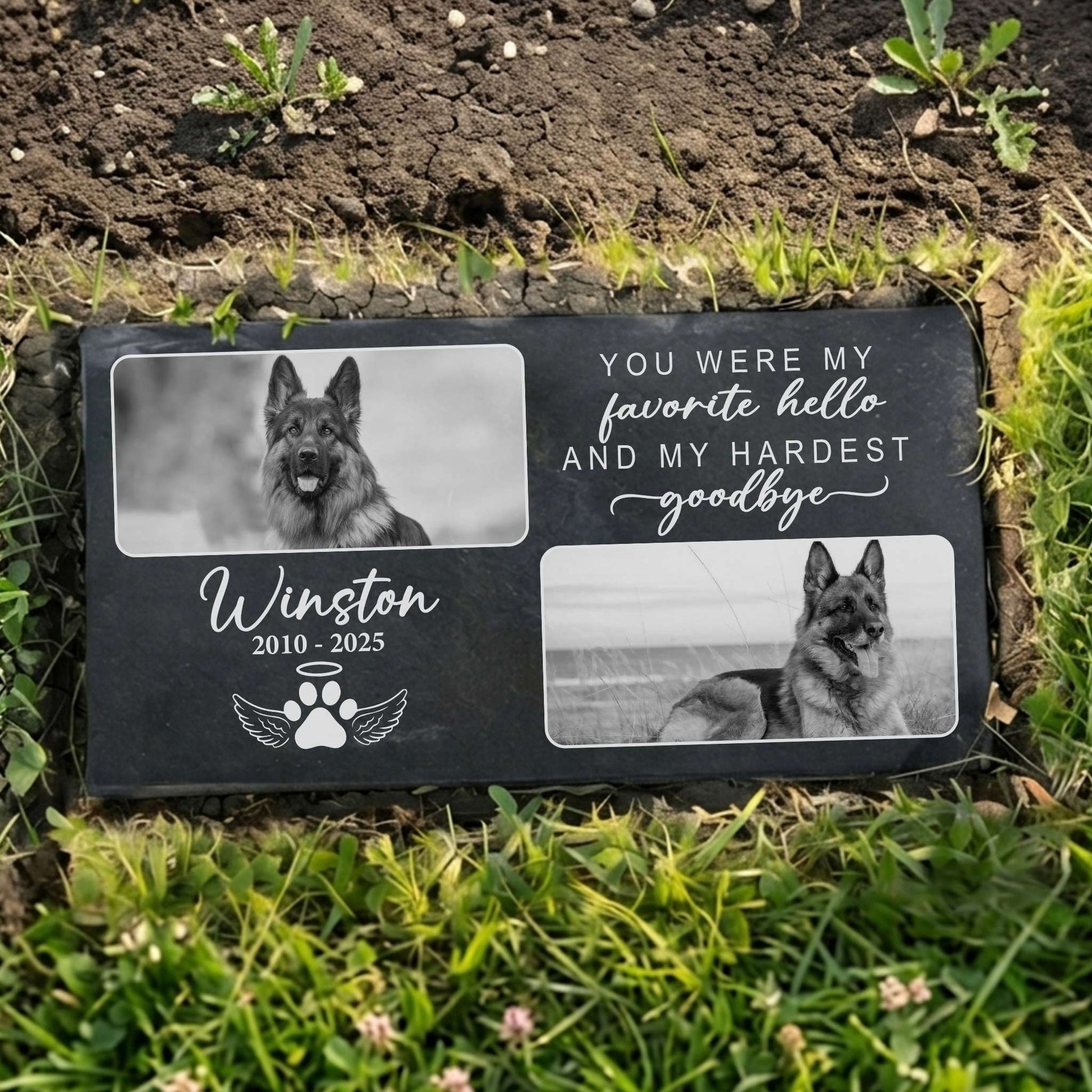 Granite dog grave marker plaque on backyard garden grass