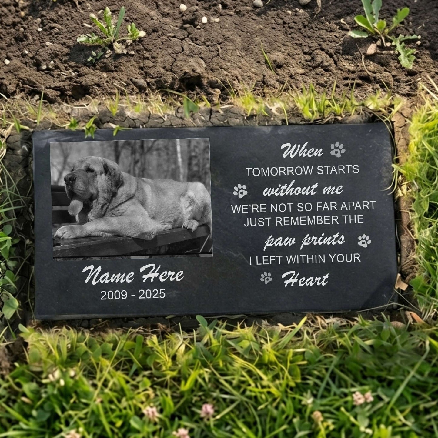 Granite pet memorial plaque reflecting sunlight in a garden