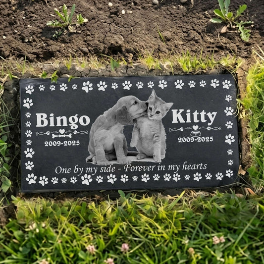Deep engraved granite cat memorial plaque in garden setting
