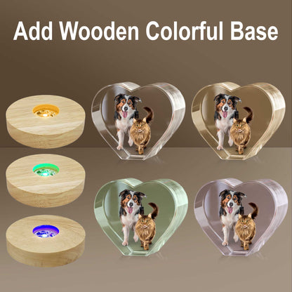 Custom 3D Laser Engraved or Color Printed Cat Photo Crystal-Personalized Heart Pet Memorial Gift Made in USA