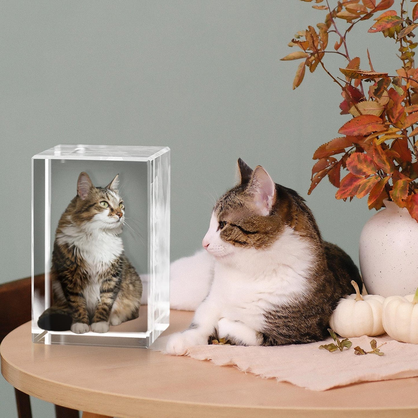 Custom 3D Laser Engraved or Color Printed Cat Photo Crystal-Personalized Heart Pet Memorial Gift Made in USA