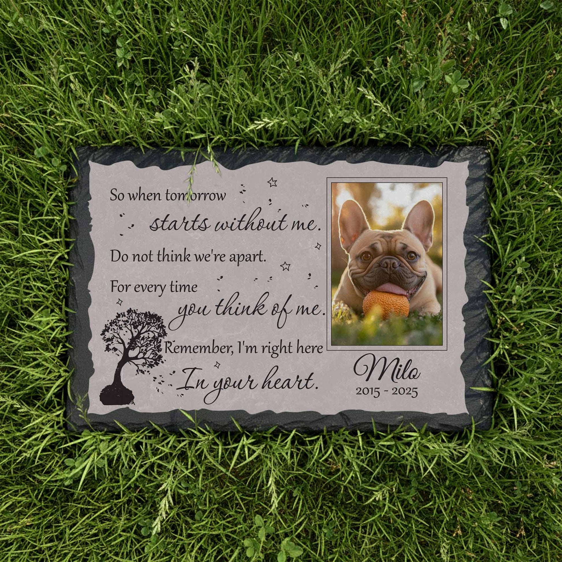 Customized granite dog burial marker with high-contrast etched portrait