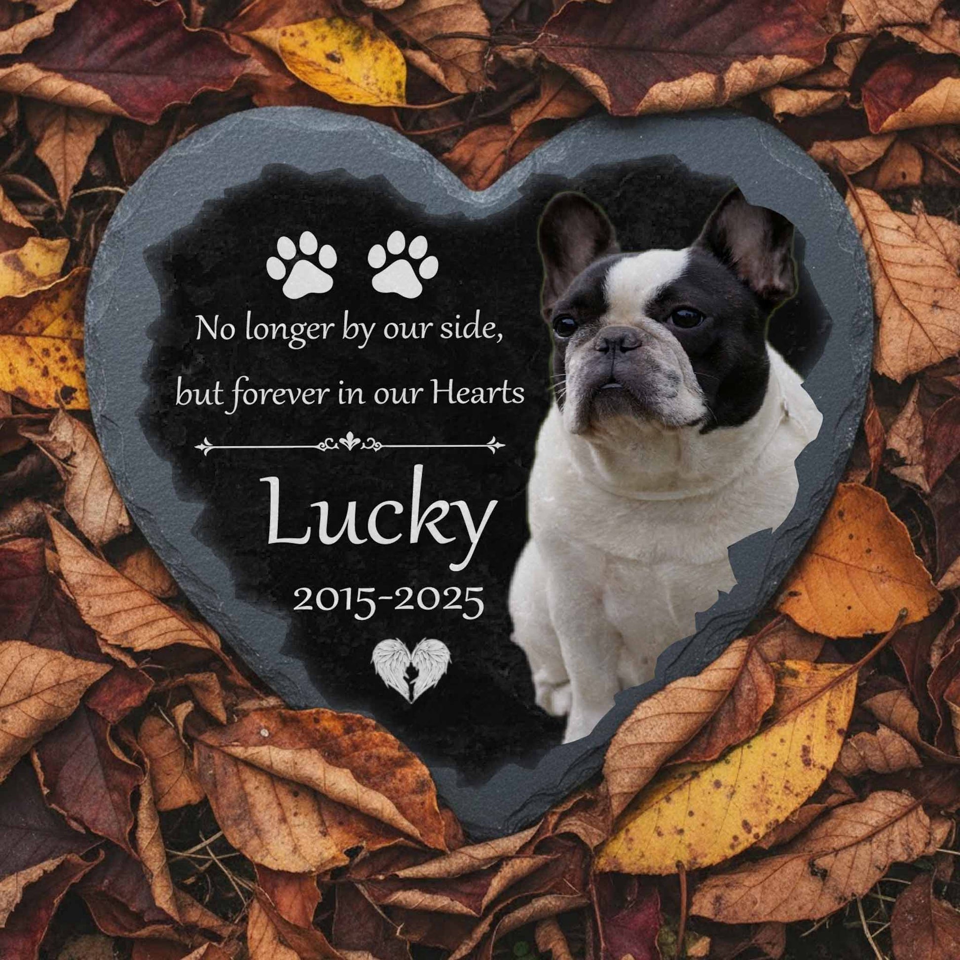 Sleek polished granite pet loss stone with beveled edges