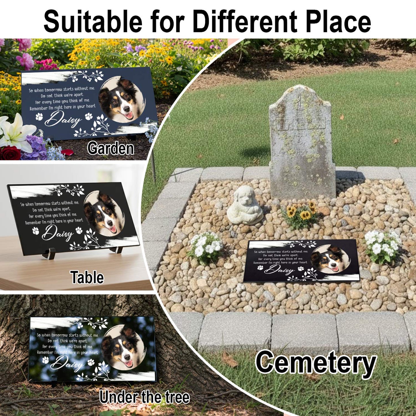 Fine detailed pet paw print on granite stone