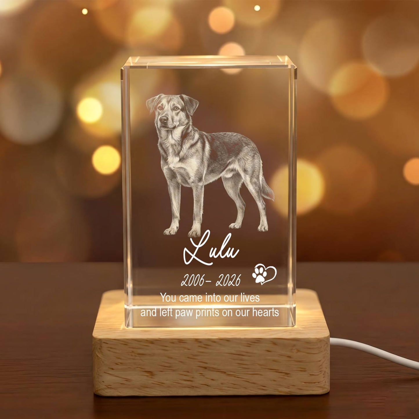 3D Engraved Crystal Photo Pet Memorial, Custom Dog Cat Portrait, Personalized Pet Loss Gift, Sympathy Keepsake Decor-USA Made